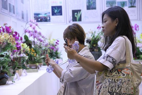 第九届中国花卉博览会今日开园