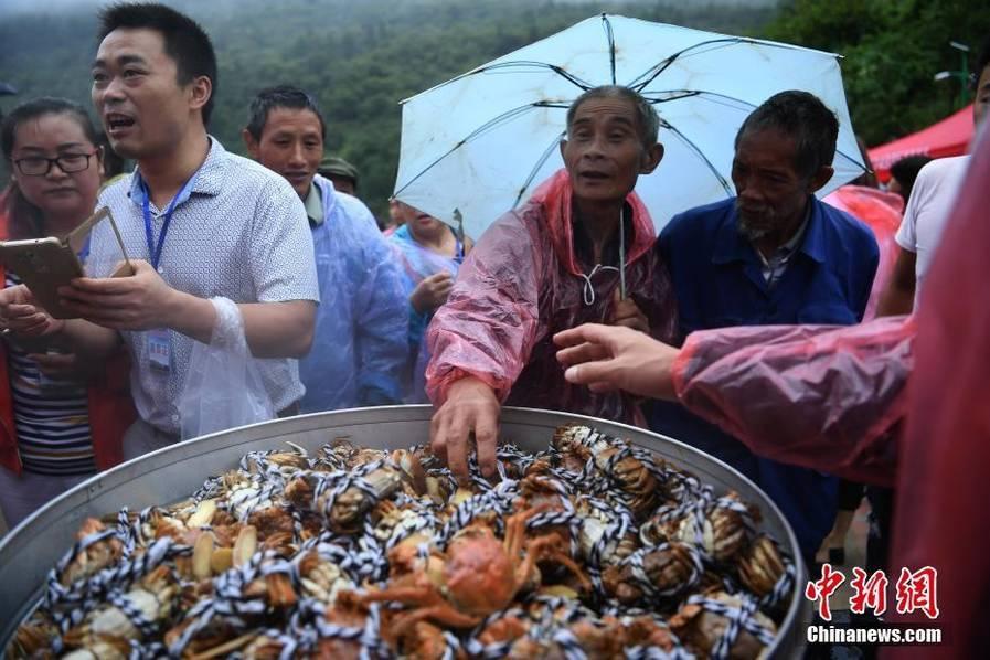 重庆：蟹农蒸千只大闸蟹宴请民众