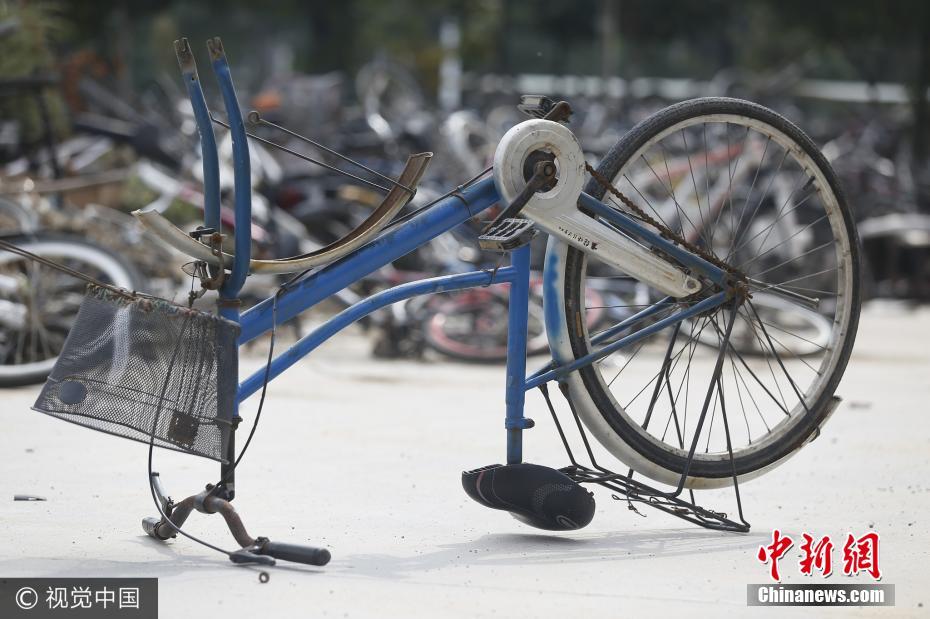 郑州高校“僵尸单车”堆成山 10元一辆没人要