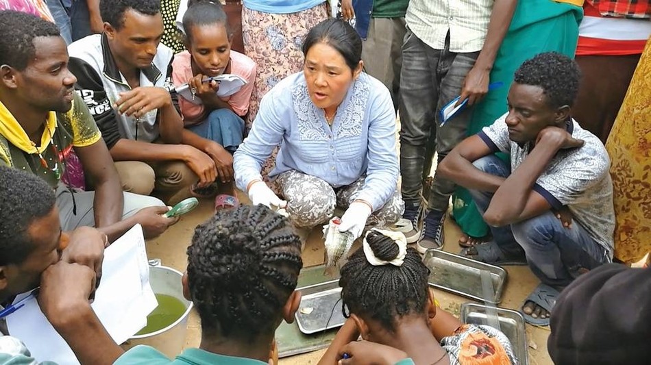 湖南女教授非洲教养鱼 带出3000学生