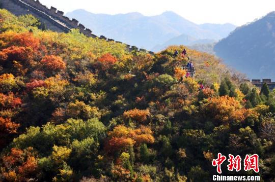 金秋北京推出11处“赏红”景区