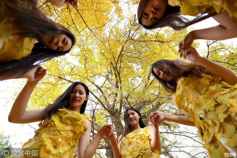 女大学生用银杏叶做“土豪金”时装