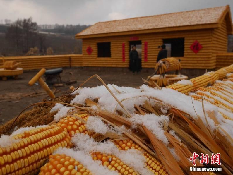 吉林农民用2万根玉米造出“黄金屋院”