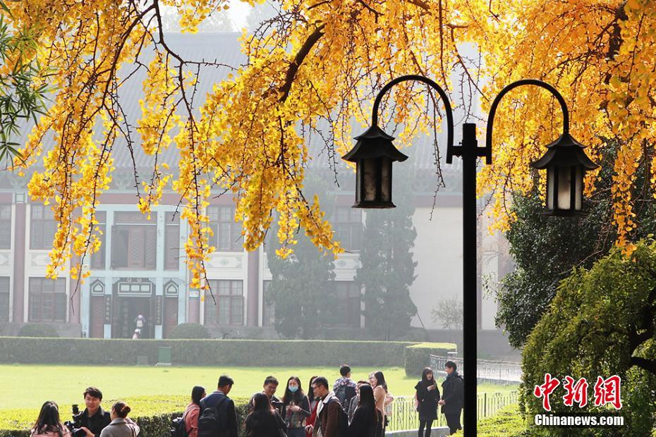 南京师范大学“满园秋色关不住”