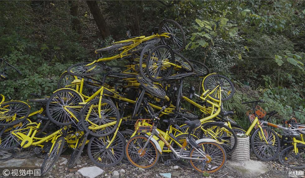 共享单车被弃山林 绵延堆积300米