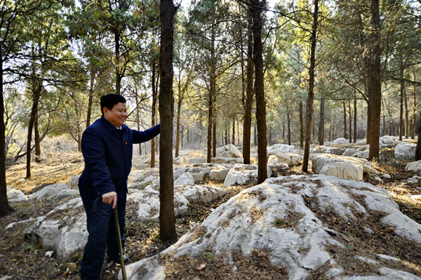 【中国梦·实践者】山东原山：60年打造的绿色丰碑