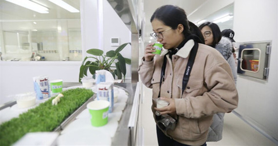 千道工序成就“放心奶” 圣元让国产奶粉走向世界