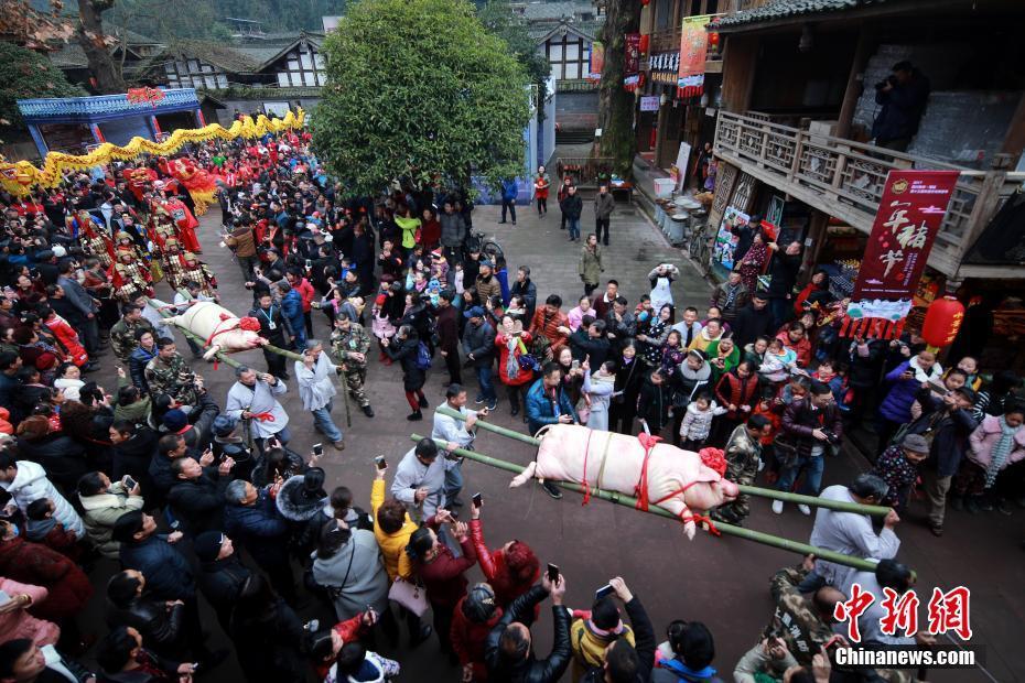 四川雅安年猪文化节：居民抬猪游行