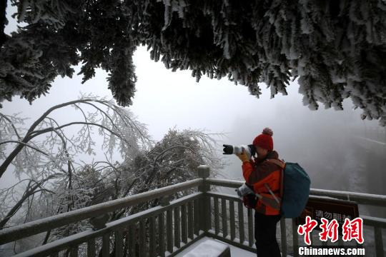 湖南张家界景区迎降雪 游人雪中嬉戏