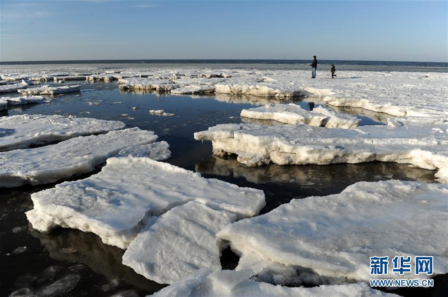 海冰回涌岸边 渤海海域现极地冰原景观