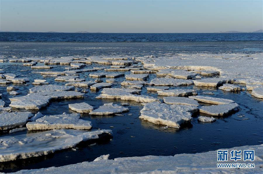 海冰回涌岸边 渤海海域现极地冰原景观