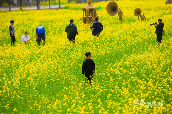 【中国梦·实践者】山东代村王传喜：打造全国首个“国家农业公园”