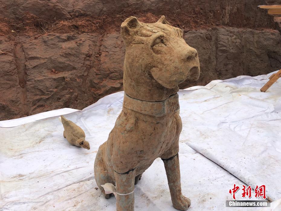 成都发现大型汉晋南北朝崖墓群 内含“西域风”铜像