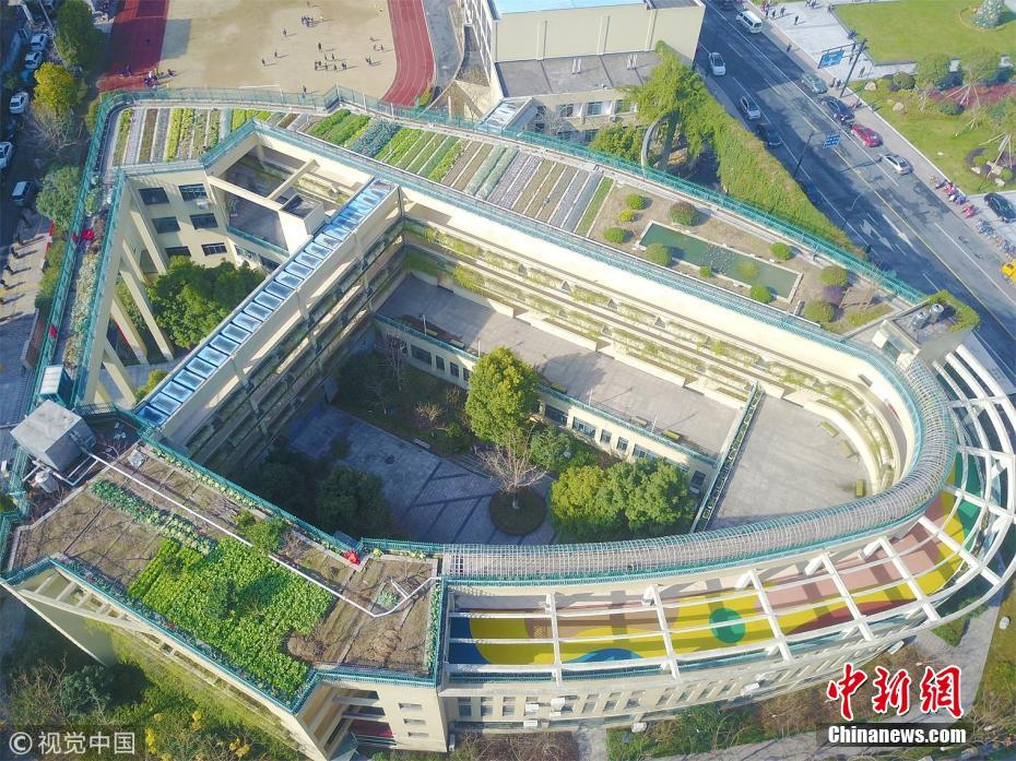 浙江杭州一小学教学楼屋顶变身生态农场