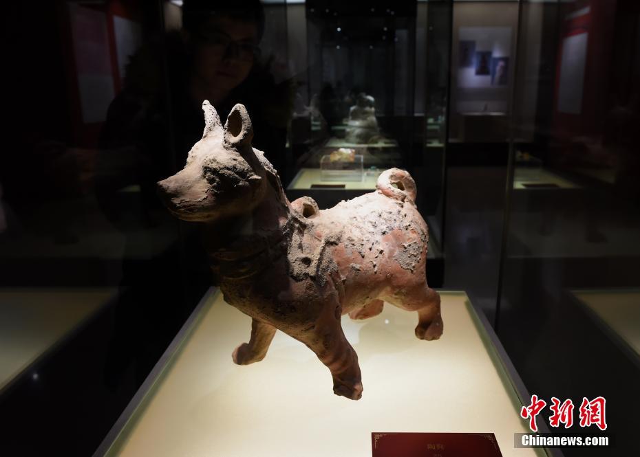汉代陶狗亮相重庆三峡博物馆