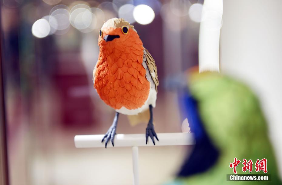 香港纸雕艺术展现频危鸟类 呼吁大众关爱自然