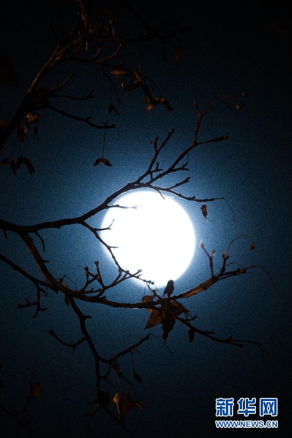 天幕上演月全食美景 华夏共度“红月亮之夜”