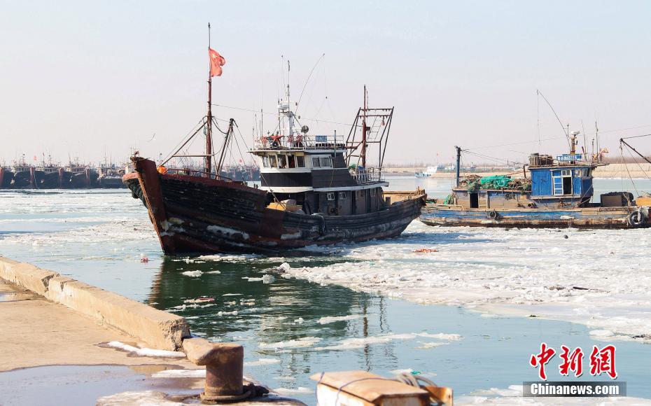 山东东营黄河口海冰封港 渔业、海上油田受影响