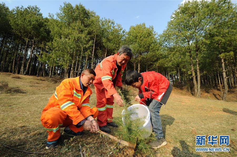 贵州沙子坡林场：三代护林员守护一片“林海”
