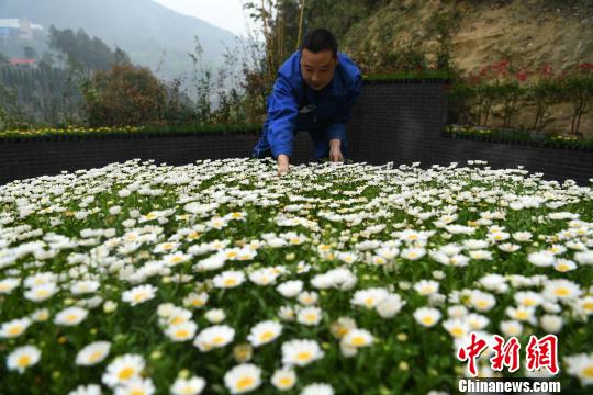 重庆打造公益生态葬园区 为特殊人群提供免费墓位