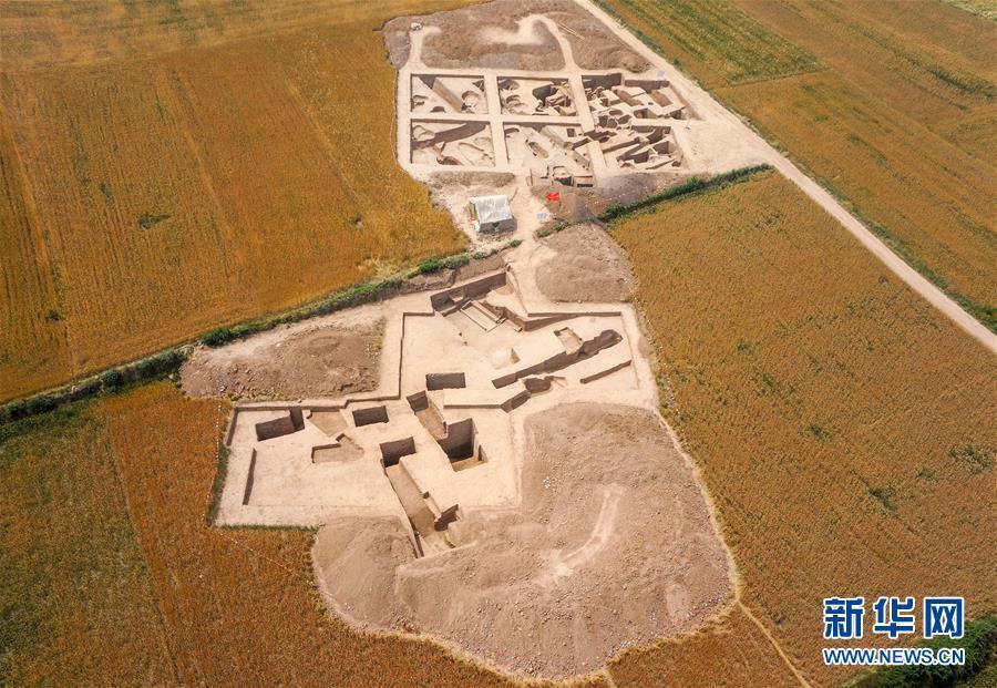 陕西发现5800多年前北方水稻栽培证据