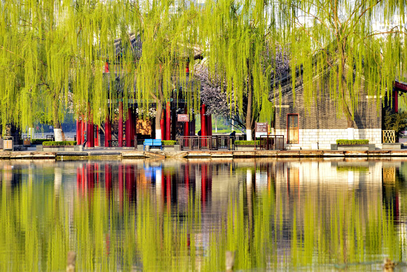 济南大明湖晨景 春风和阳光在湖面画出了一幅幅绝妙的水彩画