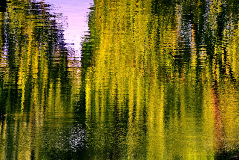 济南大明湖晨景 春风和阳光在湖面画出了一幅幅绝妙的水彩画