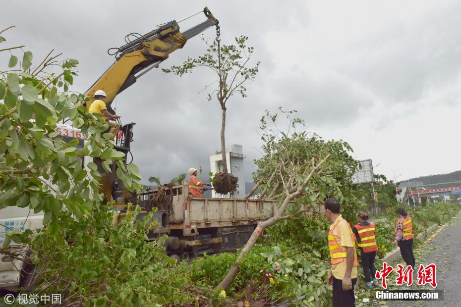 台风“山竹”过境后 各地紧急开展善后清理工作