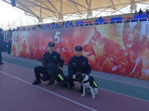 第五届全国警犬技术比赛在京落幕 鄂州民警宋高超取得佳绩