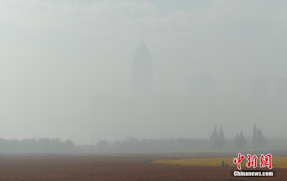 河南发布大雾橙色预警 高速全部实施交通管制