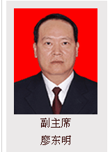 佛山市政协副主席廖东明被调查 涉嫌严重违纪