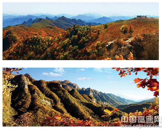 国庆出游：又是一年枫叶红 看看五岳寨的红叶有多美!