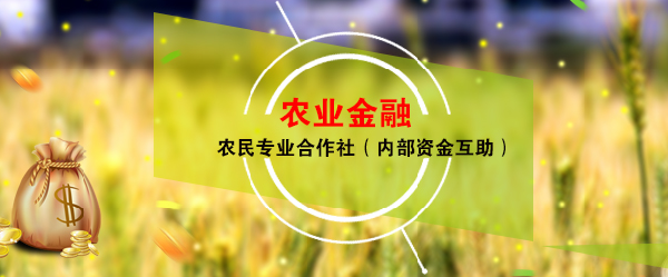 农民如何富?农商互动解读农企发展未来五大趋