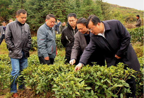 贵州丹寨：“三精两准”打造新型滴灌式扶贫模式