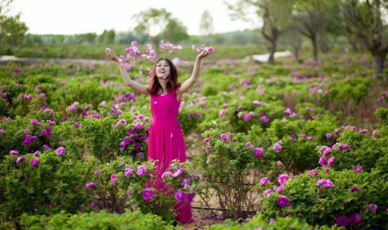 鲜花美女争相俏