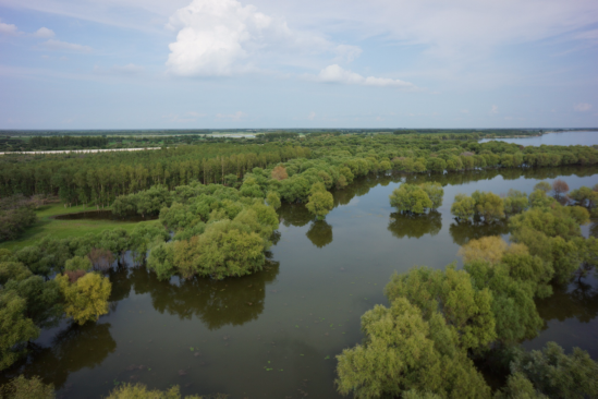 吉林省湿地生态系统服务价值达2161.93亿元