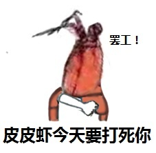究竟皮皮虾我们走是什么梗？海鲜界的小弟咋成了表情包界的扛把子(图)