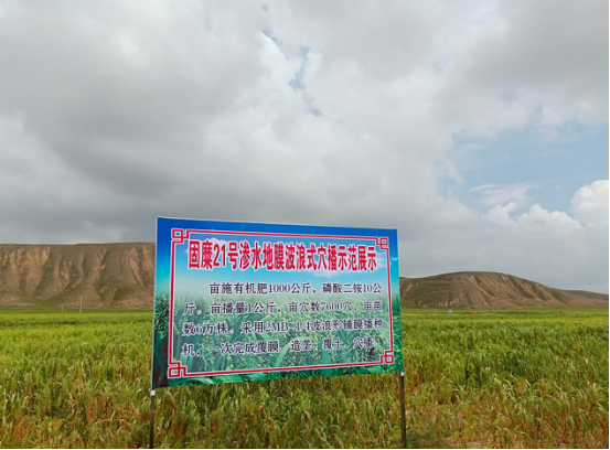 为什么叫三湘大地 509a4c2df47e1ce4b3d20b.png