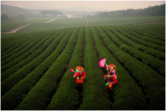 愉悦的宜兴休闲时光