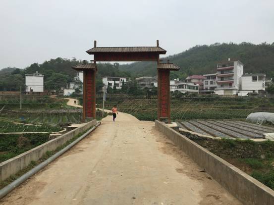 江西赣县五云八千亩无公害蔬菜 铺就共同致富道路