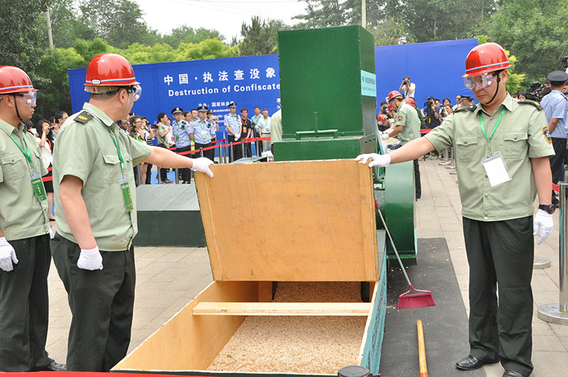 中国公开销毁662公斤非法象牙制品(高清组图)