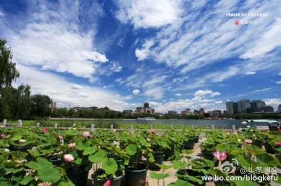 北京蓝天刷爆朋友圈 媲美青藏高原（图）