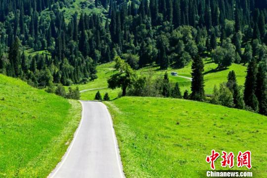 新疆首条景区生态公路竣工路与景完美融合