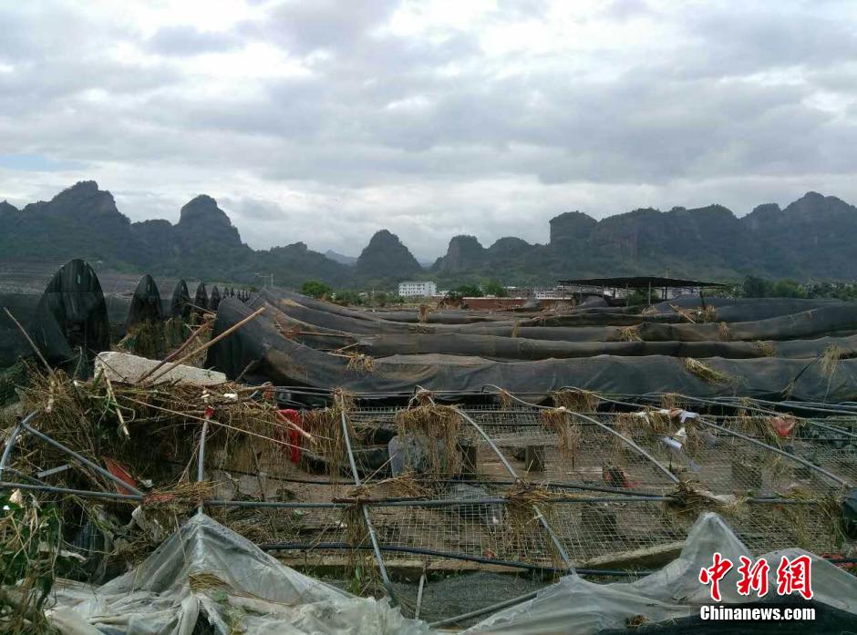 强降雨袭击福建连城 汽车被冲入河中