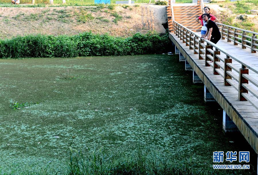 郑州：西流湖生态水系遭破坏