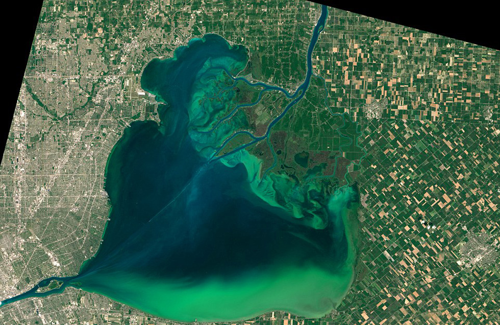 大量海藻侵蚀美国伊利湖 绿水含毒素