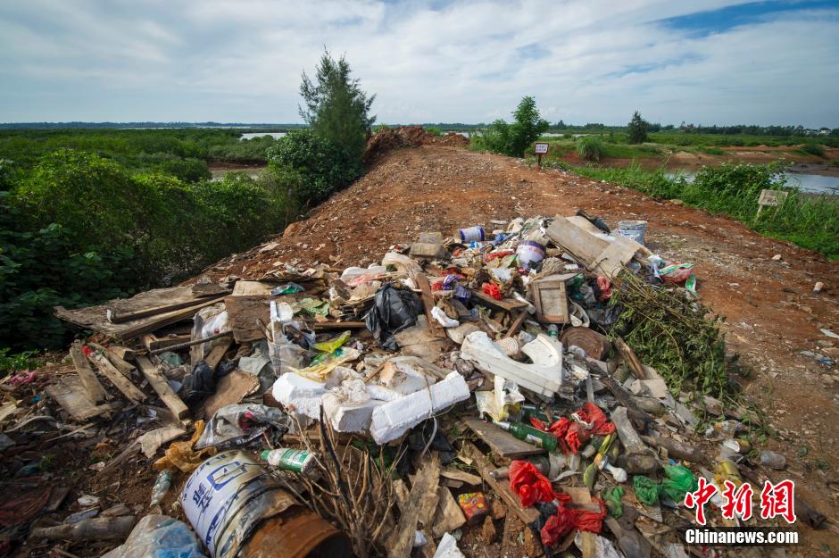 海南百亩红树林遭破坏 沦为高档小区垃圾场