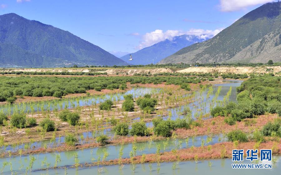西藏：绿水青山无忧 雪域圣洁依旧