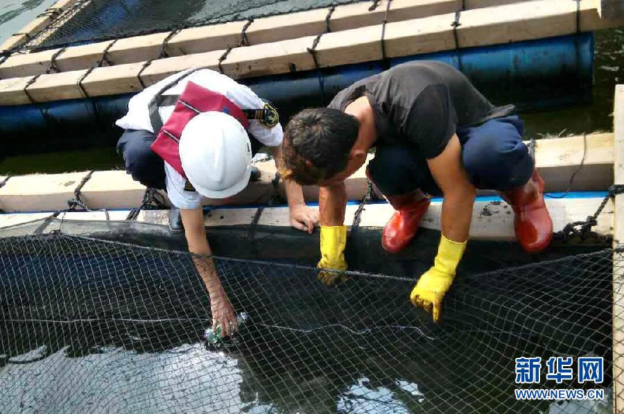 珠海庙湾岛重油污染基本清除