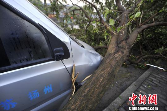 扬州遭遇强对流天气 多地一片狼藉居民称太恐怖(图)